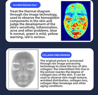 Système d'analyse cutanée clinique Litian X5PRO - Appareil d'imagerie multispectrale 3D à topographie alimenté par l'IA, écran 15,6 pouces, pour cuir chevelu et visage, UE/US