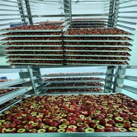 Lyophilisateur de haute qualité pour chips de banane/lait/fraises/aliments pour animaux de compagnie/scorpion, machine de lyophilisation sous vide