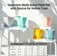 Pot de plante géométrique multi-facettes avec soucoupe pour usage intérieur