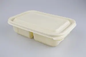 Vente en gros directe de boîte d'emballage de restauration rapide biodégradable standard avec couvercle 500ml récipient alimentaire rectangle à 2 compartiments