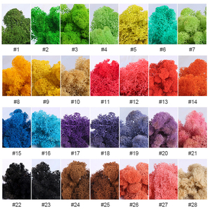Fresh Real Natural Preserved <strong>Moss</strong> <strong>for</strong> Wall Decoration - Product Image 4