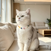 Collier pour animaux de compagnie en cristal énergétique, réglable, en cuir PU, pour chien et chat, avec perles de pierres précieuses naturelles, accessoires de bijoux apaisants pour animaux de compagnie