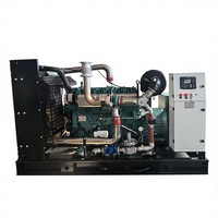 Groupe électrogène au gaz de 300 kW Gaz naturel Biogaz 1800 tr/min Moteur Weichai Démarrage électrique 24 V CC 50/60 Hz Économie d'énergie Haute efficacité