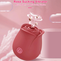 AIERSHA US-Lager Amazon Bestseller Rosen-Vibrator Sexspielzeug für Frauen Erwachsene Rosen-Vibrator Sexspielzeug Klitoris-Saugvibrator