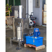 Extracteur de jus électrique automatique multifonctionnel en acier inoxydable Presse-fruits Presse-agrumes pour boisson orange, citron et pomme