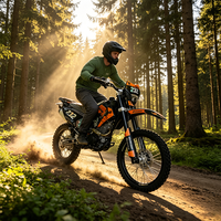 Moto tout-terrain 300cc, quad, moto à essence, moto tout-terrain pour adultes, conduite sur sentiers, loisirs