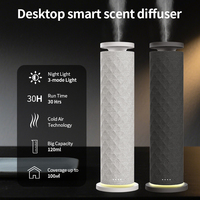 Diffuseur d'aromathérapie électrique intelligent à marque privée, huile parfumée professionnelle de luxe avec lumière LED