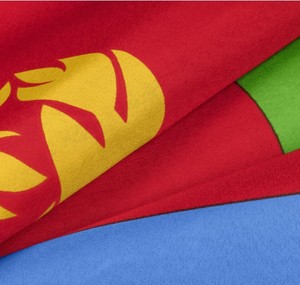 Factory Direct Hot Selling 3x5ft 100%Polyester Eritrean National <b>Flag</b> Canvas Eritrean <b>Flag</b> - Product Image 5