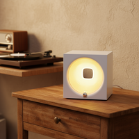 Lampe de chevet à intensité variable nordique, lumière ambiante, intensité réglable, lampe de chevet réglable, vente en gros, lampes de nuit, lampe de table LED miniature pour la maison