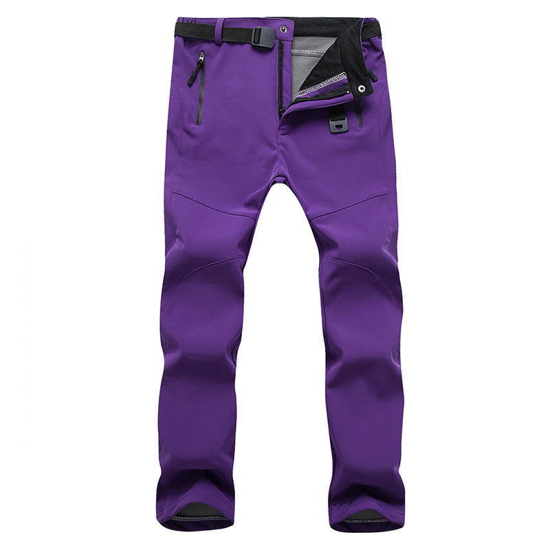 Viola