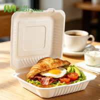 Boîte alimentaire carrée à emporter 9x9 pouces en bagasse de canne à sucre, sans PFAS, jetable et compostable