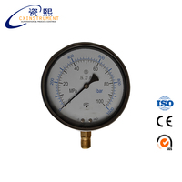 The CX-PG-P 0~40 Mpa 60mm Radial Install Stainless Steel 2.5% High Accuracy Oil Filled Pressure Gauge