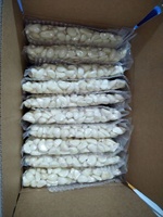 Ail frais congelé pelé blanc IQF d'usine 1 kg Prix de gros Qualité d'exportation Gousses d'ail chinois