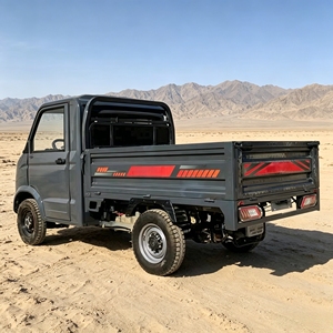 Mini camionnette électrique EEC moderne 1000 kg, véhicule utilitaire électrique <span class=keywords><strong>2</strong></span> places, couleurs personnalisables SKD, véhicule de transport électrique pour adultes - Product Image 2