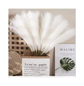 Small White Pampas Grass 56.5cm Artificial Decorative Flower & Plant Aesthetic Room Deco Dried Pampas Grass