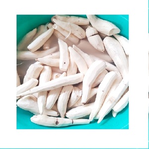 Cebollas de yuca frescas secas de alta calidad Frijoles Setas Procesamiento de tallo vegetal Congelado con certificado IQF - Product Image 1