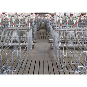 Jaula de Gestación Moderna para Cerdos 2026 con Todos los Accesorios para Granjas Porcinas - Product Image 1