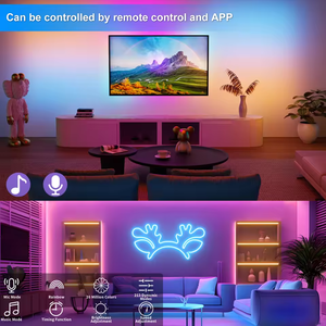 Tira de luces de neón RGB de 5V, 3M, 5M, USB, cinta Flexible impermeable, luces de neón con Control remoto <span class=keywords><strong>Bluetooth</strong></span> para decoración del hogar - Product Image 4