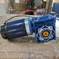 Motor DC Worm Gear 12V 24V Torsi Tinggi 300RPM Motor Gearbox Listrik untuk Peralatan Industri