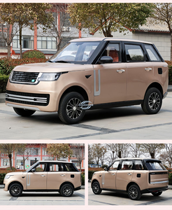 Hotel Transport Off Road EV 201-300km <b>Range</b> 110kWh Battery 500Nm Torque Adult - Product Image 5