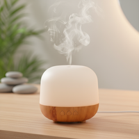 Humidificateur d'air à ultrasons à brume froide, diffuseur d'aromathérapie, diffuseur de parfum avec minuterie et lumière LED pour la maison, le bureau et le yoga