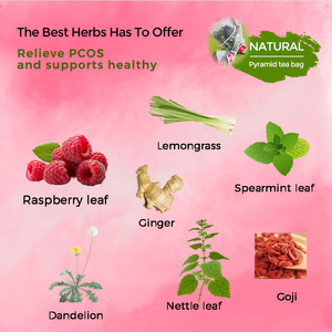 عضوي مخصص ورقة التوت الأحمر شاي الأعشاب للبالغين انقطاع الطمث دعم هرمون التوازن تخفيف أعراض مربع التعبئة والتغليف - Product Image 2