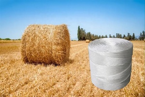 2024 nóng Bán dây Net hay Baler twine với chất lượng tốt và giá cả tốt nhất cũng có máy sản xuất dòng - Product Image 5
