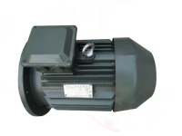Moteur électrique triphasé AC WPDJ YE3-355M-4P 250KW 1490RPM pour convoyeur certifié CE