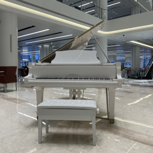 <span class=keywords><strong>Pianoforte</strong></span> a Coda Bianco Professionale GC6 in Legno Massello di Mogano per Scuole, Alta Durabilità, Logo Personalizzabile - Product Image 1