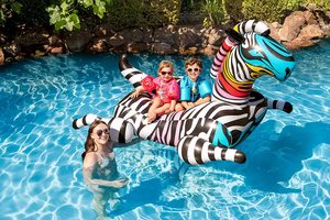 Zany Zebra ห่วงยางขนาดจัมโบ้,ของเล่นลอยน้ำสำหรับนักขี่ในฤดูร้อนกีฬาทางน้ำกลางแจ้ง - Product Image 4
