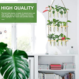 <span class=keywords><strong>Kit</strong></span> de terrarium mural en verre borosilicate rond avec trou de drainage - Écologique pour la maison et le jardin - Product Image 3