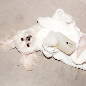 Champú <span class=keywords><strong>Profesional</strong></span> para Mascotas, Fórmula de Limpieza Suave, Aroma Mercer Street, para Perros y Gatos, para Limpieza Diaria - Product Image 5