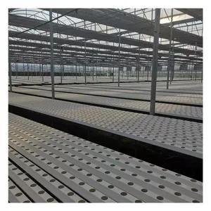 Greenhouse Agriculture Greenhouse 100*50 Mm Greenhouse Agriculture Aquaponic Hydroponic PVC Pipe Lettuce Grow System NFT Channel System