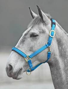Licol en cuir personnalisé avec cordon, embout de nez rembourré en polaire, tête réglable, collier confortable pour cheval - Product Image 1