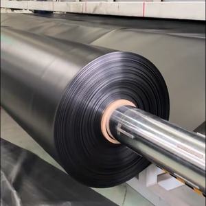 <span class=keywords><strong>Prix</strong></span> usine HDPE Géomembranes 1mm Plastique LDPE LLDPE PVC <span class=keywords><strong>Géomembrane</strong></span> pour Pisciculture/Dam Liner Fish Tank Décharge 0.5mm 1.5mm - Product Image 2