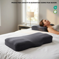 Oreiller ergonomique minimaliste moderne en mousse à mémoire de forme, anti-acariens et respirant, liste de prix d'usine très compétitive.