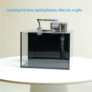 Réservoir de poissons de bureau de taille personnalisée ensemble complet avec éclairage et filtre accessoires <span class=keywords><strong>Aquarium</strong></span> en verre ultra blanc - Product Image 6