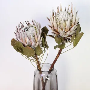 Instagram beliebte natürliche getrocknete Blumen König Protea Blume für Hochzeits dekoration