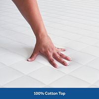 Coussin de luxe 100% coton, couche supérieure douce, garnissage en fibres EternaLoft haute densité, coins extensibles durables, 18 pouces de profondeur, lavable en machine
