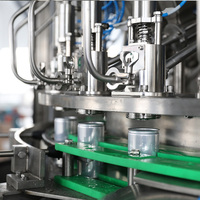 Machine de remplissage entièrement automatique pour boissons en conserve en aluminium, avec structure rotative de haute précision, pour boissons gazeuses et eau