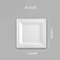 Assiette carrée écologique en bagasse de canne à sucre, 6, 8, 10 pouces, blanche, jetable, biodégradable, en pulpe, pour la restauration et les fêtes