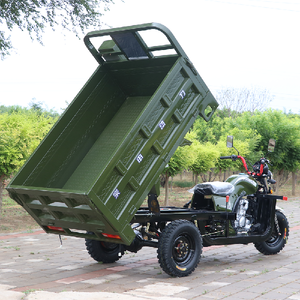 Triciclo Agrícola con Sidecar, Motor de Gasolina, Carrocería Abierta, Gran Capacidad de Carga para Uso Agrícola, Venta Caliente 2026 - Product Image 6