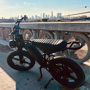 Vélo électrique tout-terrain 2026 EU Stock R002 avec pneus larges de 20 pouces, batterie 48V 15Ah, cadre en acier à haute teneur en carbone - Product Image 5