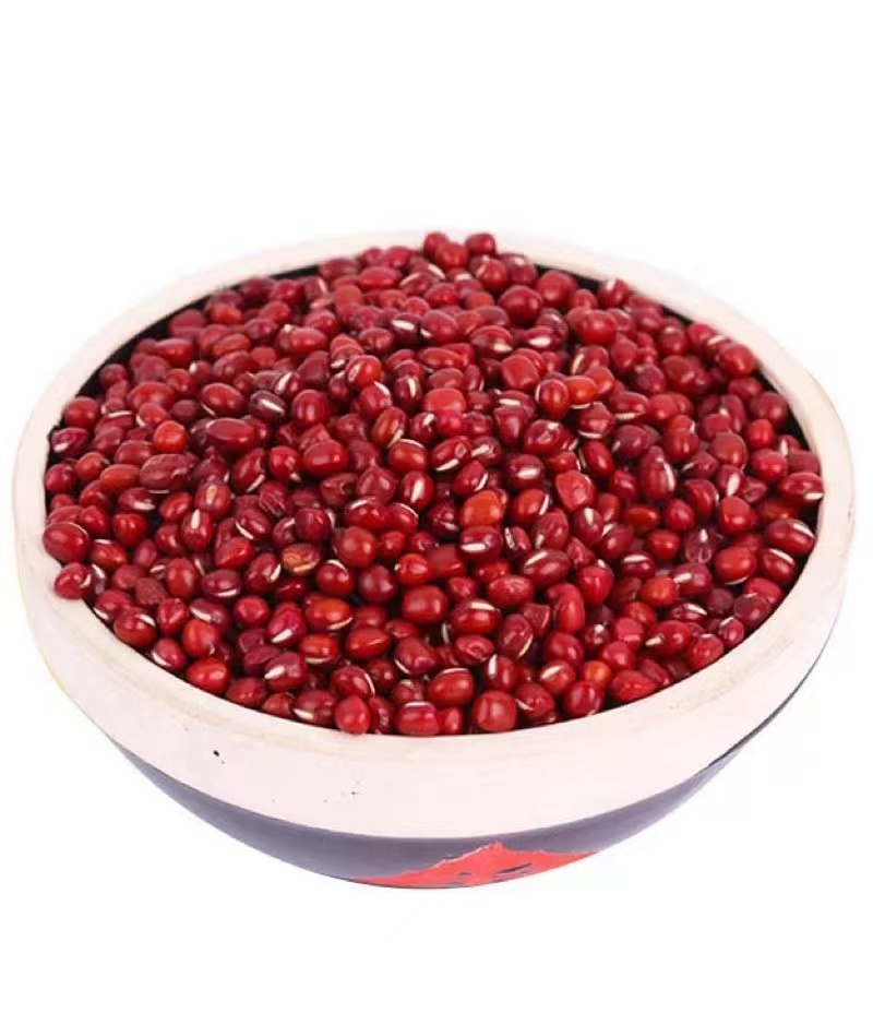 Organic healthy sweet bread raw material pearl adzuki bean 2.5mm-3.6mm