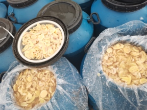 Fabrika doğrudan satış 2024 yeni üretim namlulu turşu mantar dilimleri 50kg - Product Image 6