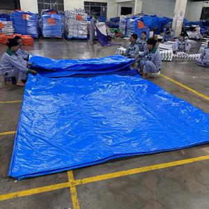 Premium Heavy Duty Blue PE Plastic <b>Tarpaulin</b>, High Durability, Large Capacity, Heavy Duty, Color Options, Custom Size Options - Product Image 3