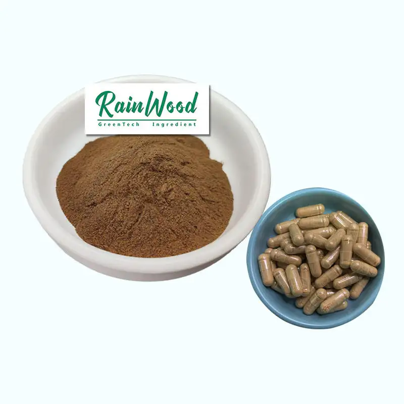Rainwood Private Label Food Supplement Lion's Mane Extract Capsules Hericium Erinaceus Mushroom Capsules