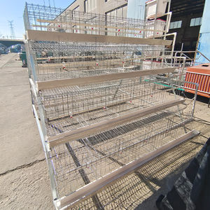 Kaliforniya 96 Kuş Kapasiteli Katlı 4 Kapılı Otomatik Galvanizli Batarya Tipi Tavuk Kafesleri Yumurta Tavukları için Tavuk Kümesi 10-20 - Product Image 3