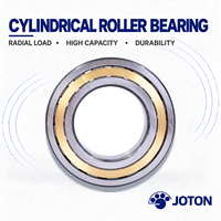 Roulements à rouleaux cylindriques personnalisés JOTON N/NU/NJ/NF/NUP 1005 1006 1007 1008 1009 1010 1011 1012 1013 1014 1015 1016 1017 1018