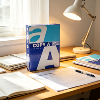 Papier copie A4 Premium 70-80 g/m² haute luminosité 100 % pâte de bois vierge pour impression et copie